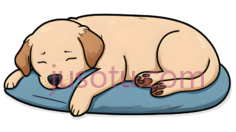 狗,卡通,浅棕色PNG