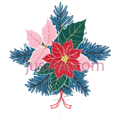 圣诞花束,插画,红色,粉色,绿色,蓝色PNG