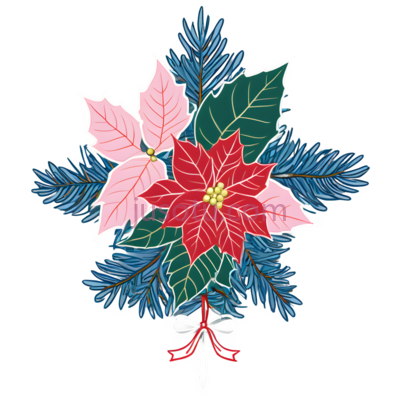 圣诞花束,插画,红色,粉色,绿色,蓝色, PNG