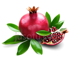 石榴,绿叶PNG