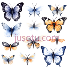 蝴蝶,水彩画,黄色PNG