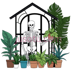 盆栽植物,卡通,绿色,白色PNG