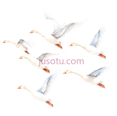 鹅,飞翔,白色, PNG
