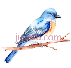 鸟,水彩画,蓝色PNG