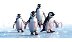 企鹅,卡通,白色,黑色PNG