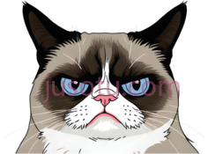 猫,卡通,白色,灰色,黑色PNG