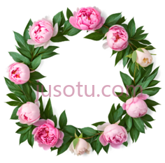 花环,圆形,粉色,白色, PNG