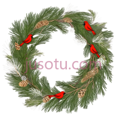 圣诞花环,插画,绿色,红色PNG