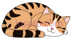 猫,卡通,橙色,黑色条纹PNG