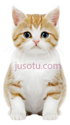猫, PNG