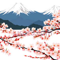樱花树,插画,粉色, PNG
