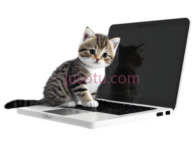 小猫,卡通,灰色, PNG