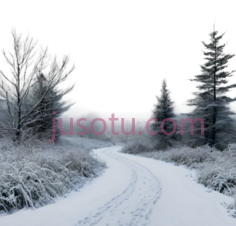 雪地小路,宁静,白色PNG