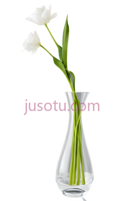 塑料花瓶PNG