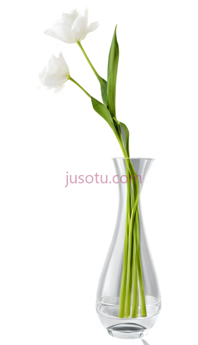 塑料花瓶, PNG