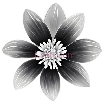 花,黑白灰阶,黑,白,灰, PNG