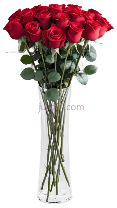 玫瑰花,经典,红色, PNG
