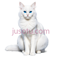 猫,坐姿,白色PNG