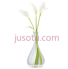 塑料花瓶PNG