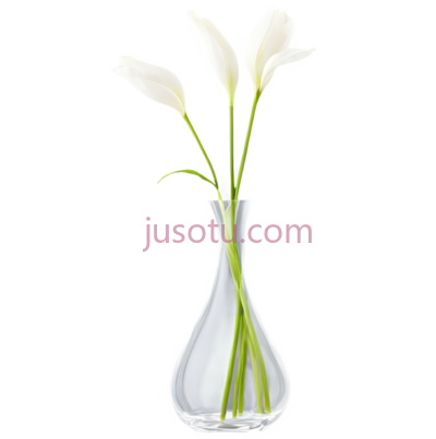 塑料花瓶, PNG