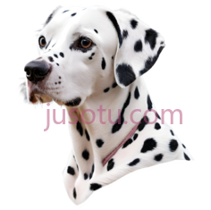 杜宾犬PNG