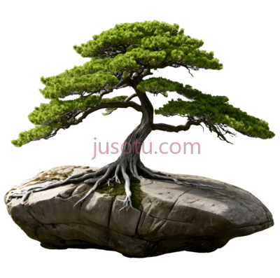 盆景树,中式,绿色, PNG