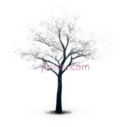 树,白色, PNG