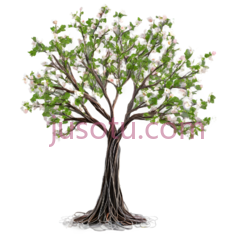 树,插画,绿色,白色,棕色PNG