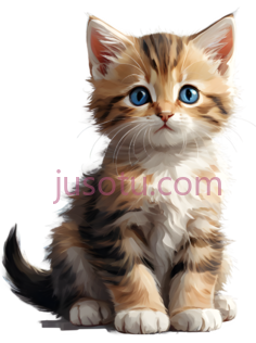 小猫,卡通,棕色,白色,黑色PNG