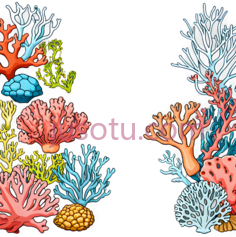 珊瑚,生物PNG