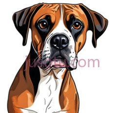 狗,卡通,棕色,白色,黑色PNG