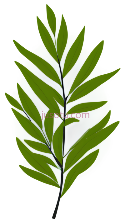 桦叶, PNG