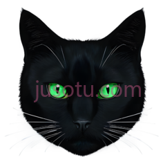 黑猫,插画,黑色PNG