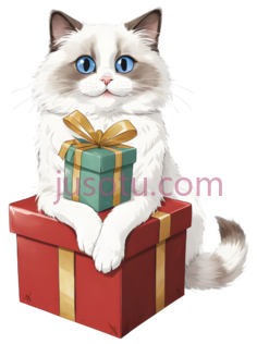 毛绒猫,礼盒PNG