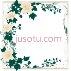 花朵,装饰性,白色,绿色PNG