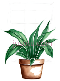 盆栽,插画,绿色PNG