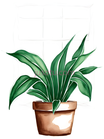 盆栽,插画,绿色, PNG