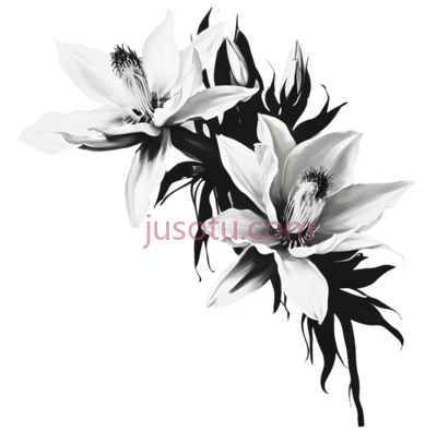 凤梨花, PNG