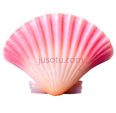 贝壳,自然,粉色, PNG