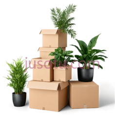 纸箱,植物,堆叠,盆栽,棕色,绿色PNG
