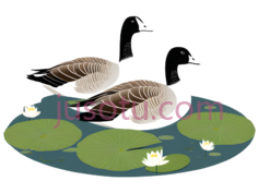 鹅,卡通,白色,棕色PNG