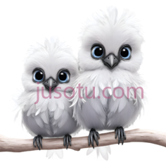 猫头鹰,卡通,白色PNG