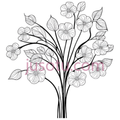 花朵,叶子,线条画,白色PNG