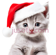 小猫,戴圣诞帽,灰色PNG