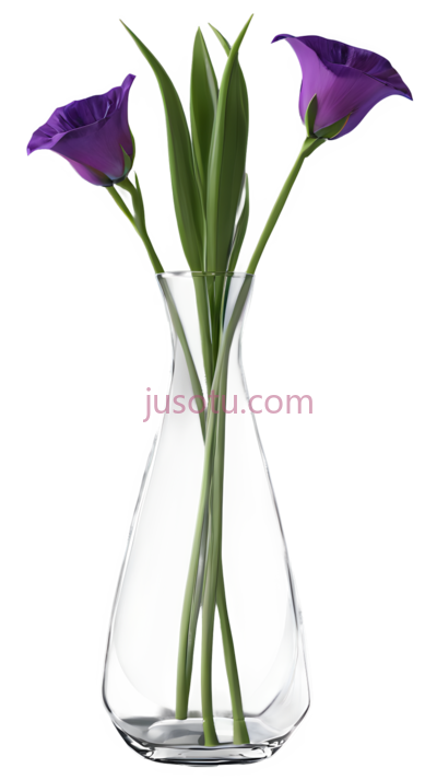 瓶,花瓶, PNG