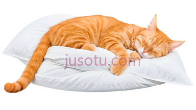 猫,条纹,橙色, PNG