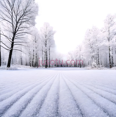 雪地,白色, PNG