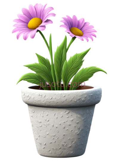 花盆, PNG