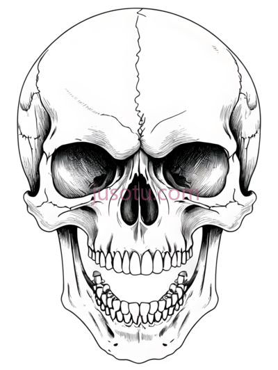 骷髅,素描,白色, PNG