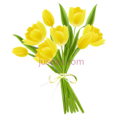 春花,黄色, PNG